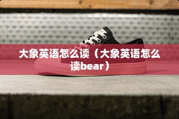 大象英语怎么读（大象英语怎么读bear）