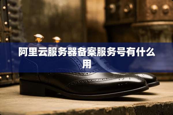 阿里云服务器备案服务号有什么用
