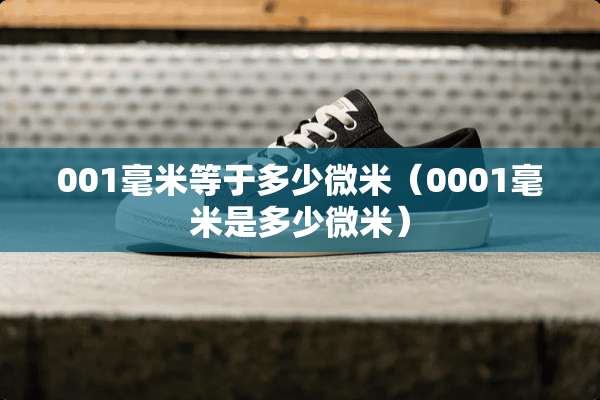 001毫米等于多少微米（0001毫米是多少微米）