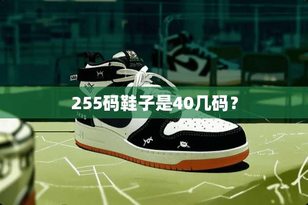 255码鞋子是40几码？