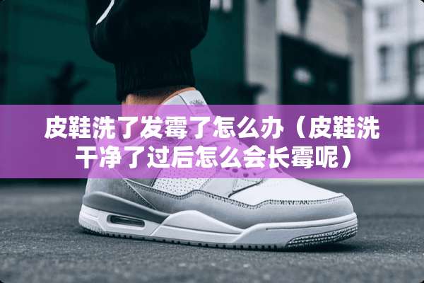 皮鞋洗了发霉了怎么办（皮鞋洗干净了过后怎么会长霉呢）