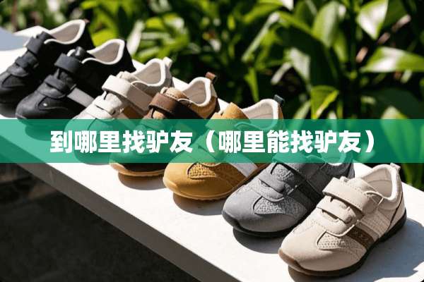 到***驴友（哪里能找驴友）