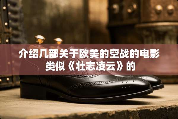 介绍几部关于欧美的空战的电影 类似《壮志凌云》的