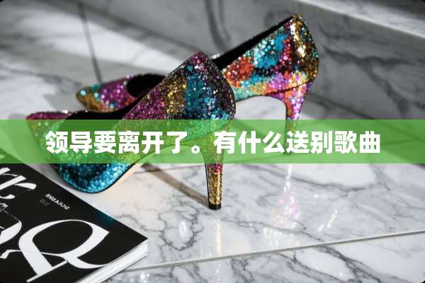 领导要离开了。有什么送别歌曲