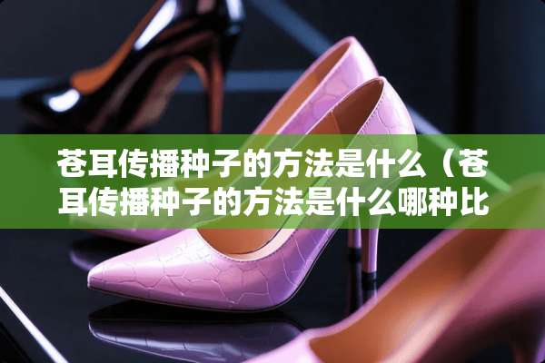 苍耳传播种子的方法是什么（苍耳传播种子的方法是什么哪种比较合适）
