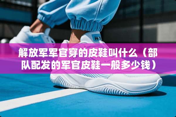 ***军官穿的皮鞋叫什么（**配发的军官皮鞋一般多少钱）