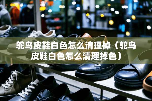 鸵鸟皮鞋白色怎么清理掉（鸵鸟皮鞋白色怎么清理掉色）