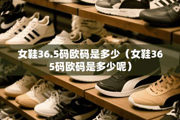 女鞋36.5码欧码是多少（女鞋365码欧码是多少呢）
