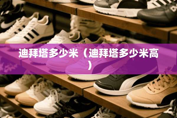 迪拜塔多少米（迪拜塔多少米高）