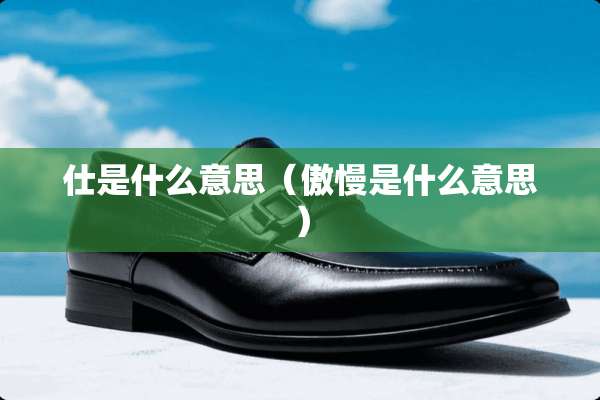仕是什么意思（傲慢是什么意思）