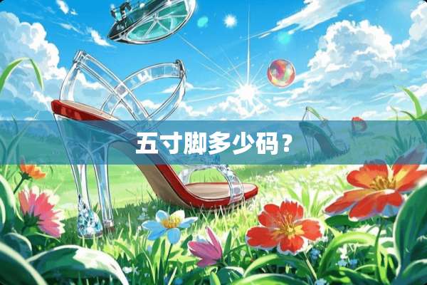 五寸脚多少码？