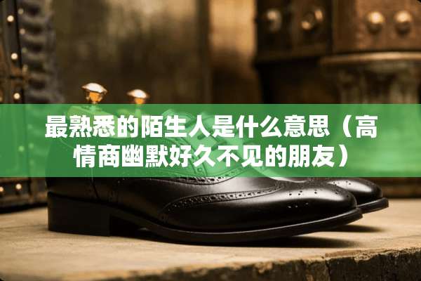 最熟悉的陌生人是什么意思（高情商幽默好久不见的朋友）