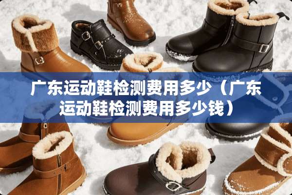 广东运动鞋检测费用多少（广东运动鞋检测费用多少钱）