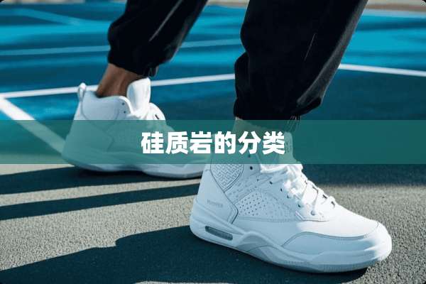 硅质岩的分类