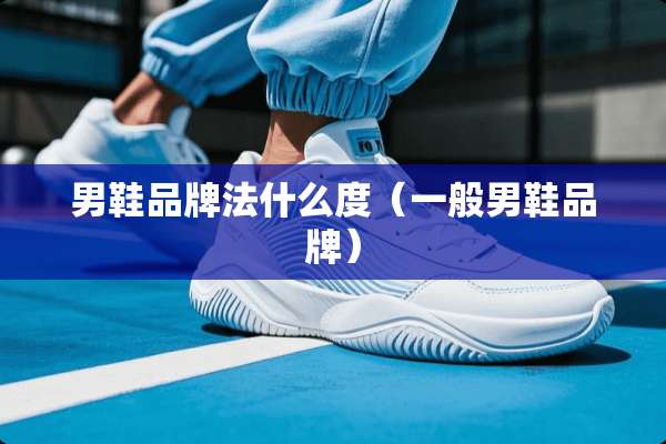 男鞋品牌法什么度（一般男鞋品牌）