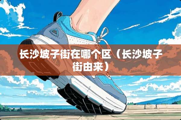 长沙坡子街在哪个区（长沙坡子街由来）