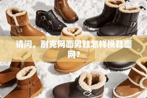 请问，耐克网面男鞋怎样换鞋面网？