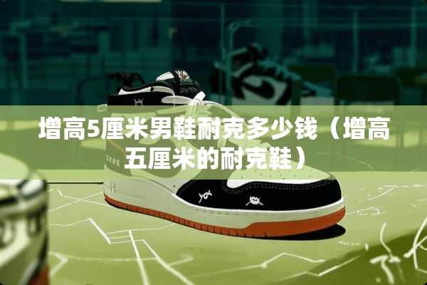 增高5厘米男鞋耐克多少钱（增高五厘米的耐克鞋）