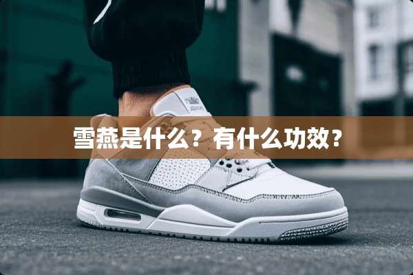 雪燕是什么？有什么功效？
