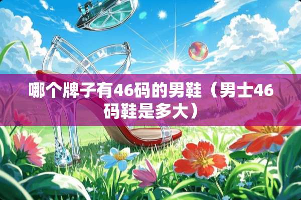 哪个牌子有46码的男鞋（男士46码鞋是多大）