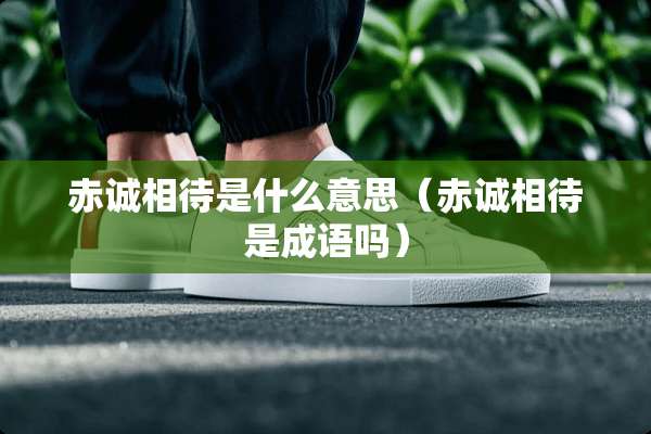 赤诚相待是什么意思（赤诚相待是成语吗）
