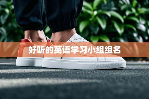 好听的英语学习小组组名