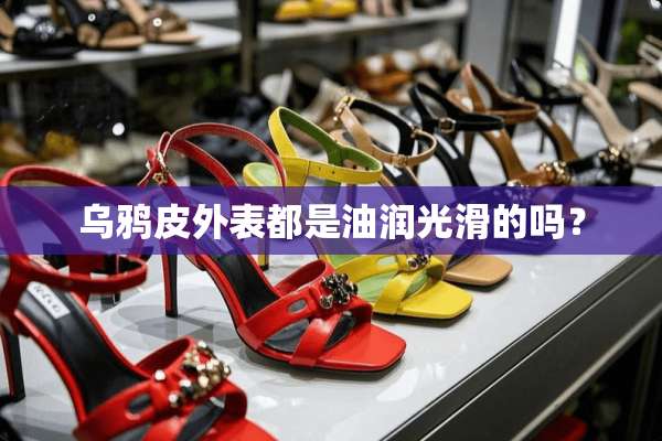 乌鸦皮外表都是油润光滑的吗？