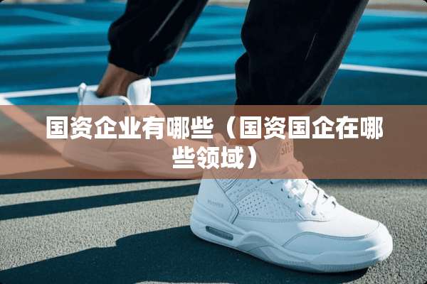 国资企业有哪些（国资国企在哪些领域）