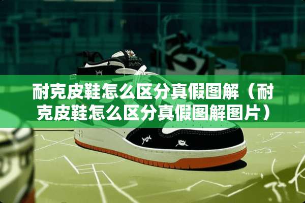 耐克皮鞋怎么区分真假图解（耐克皮鞋怎么区分真假图解图片）