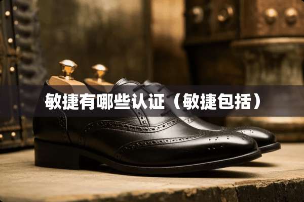 敏捷有哪些认证（敏捷包括）