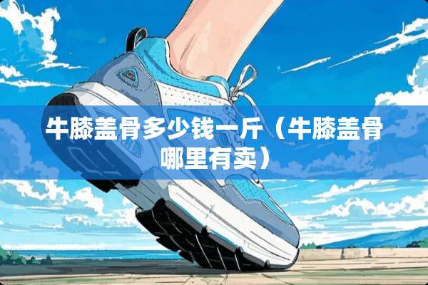 牛膝盖骨多少钱一斤（牛膝盖骨哪里有卖）