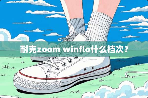 耐克zoom winflo什么档次？