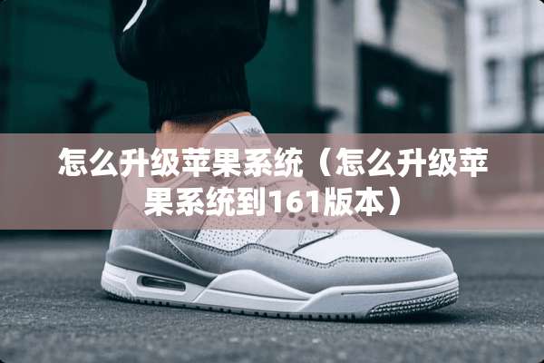 怎么升级苹果系统（怎么升级苹果系统到161版本）