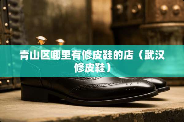 青山区哪里有修皮鞋的店（武汉修皮鞋）