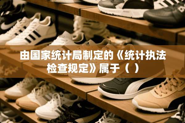 由国家统计局制定的《统计执法检查规定》属于（ ）