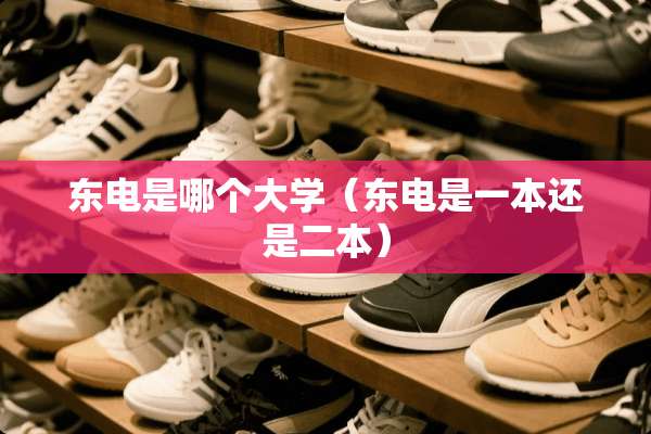 东电是哪个大学（东电是一本还是二本）