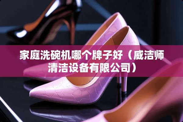 家庭洗碗机哪个牌子好（威洁师清洁设备有限公司）