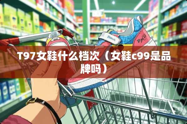 T97女鞋什么档次（女鞋c99是品牌吗）