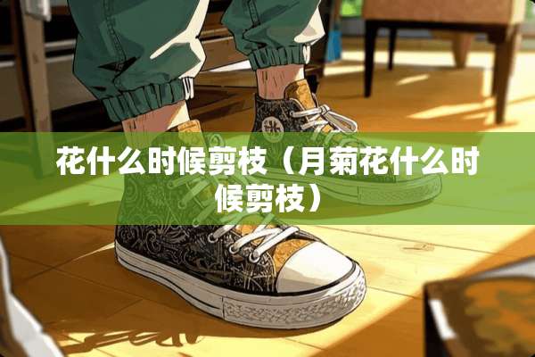 花什么时候剪枝（月菊花什么时候剪枝）