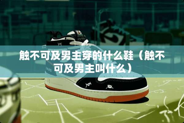 触不可及男主穿的什么鞋（触不可及男主叫什么）