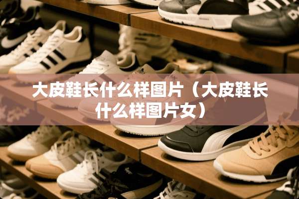 大皮鞋长什么样图片（大皮鞋长什么样图片女）