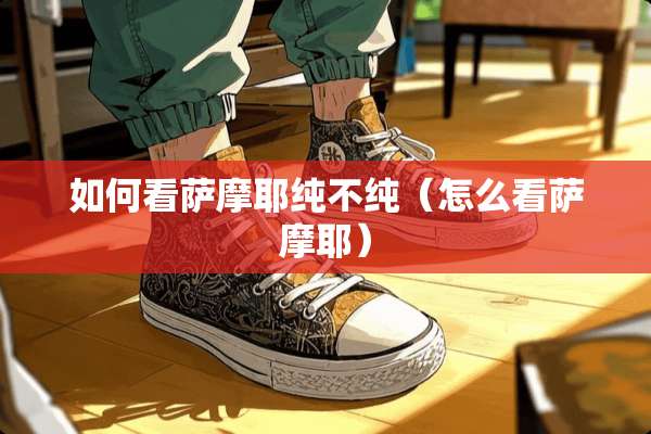 如何看萨摩耶纯不纯（怎么看萨摩耶）