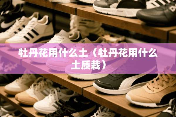 牡丹花用什么土（牡丹花用什么土质栽）