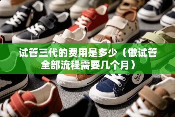 试管三代的费用是多少（做试管全部流程需要几个月）