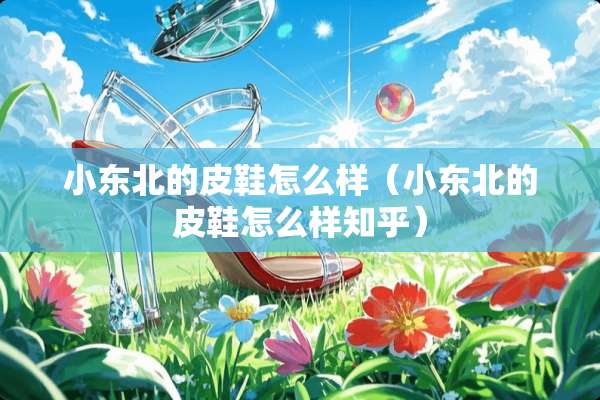 小东北的皮鞋怎么样（小东北的皮鞋怎么样知乎）