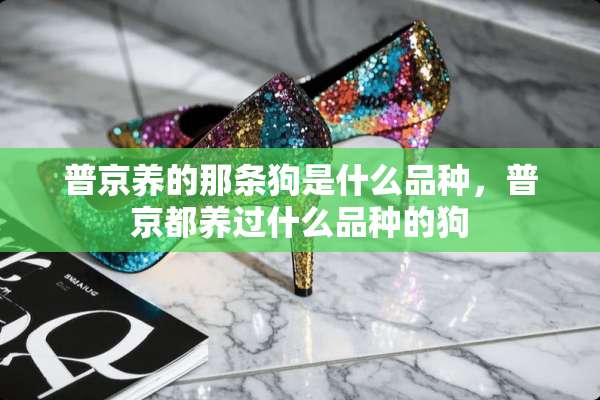 普京养的那条狗是什么品种，普京都养过什么品种的狗