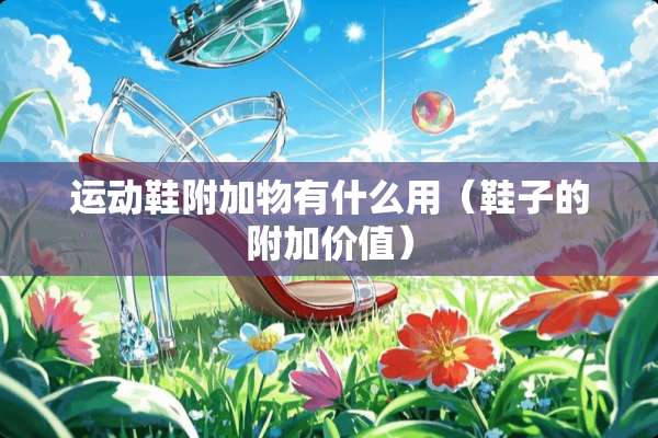 运动鞋附加物有什么用（鞋子的附加价值）
