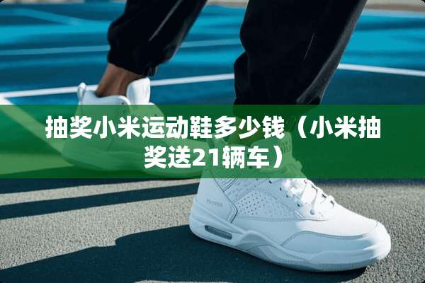 抽奖小米运动鞋多少钱（小米抽奖送21辆车）