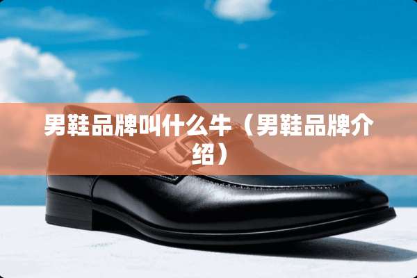 男鞋品牌叫什么牛（男鞋品牌介绍）