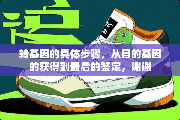 转基因的具体步骤，从目的基因的获得到最后的鉴定，谢谢
